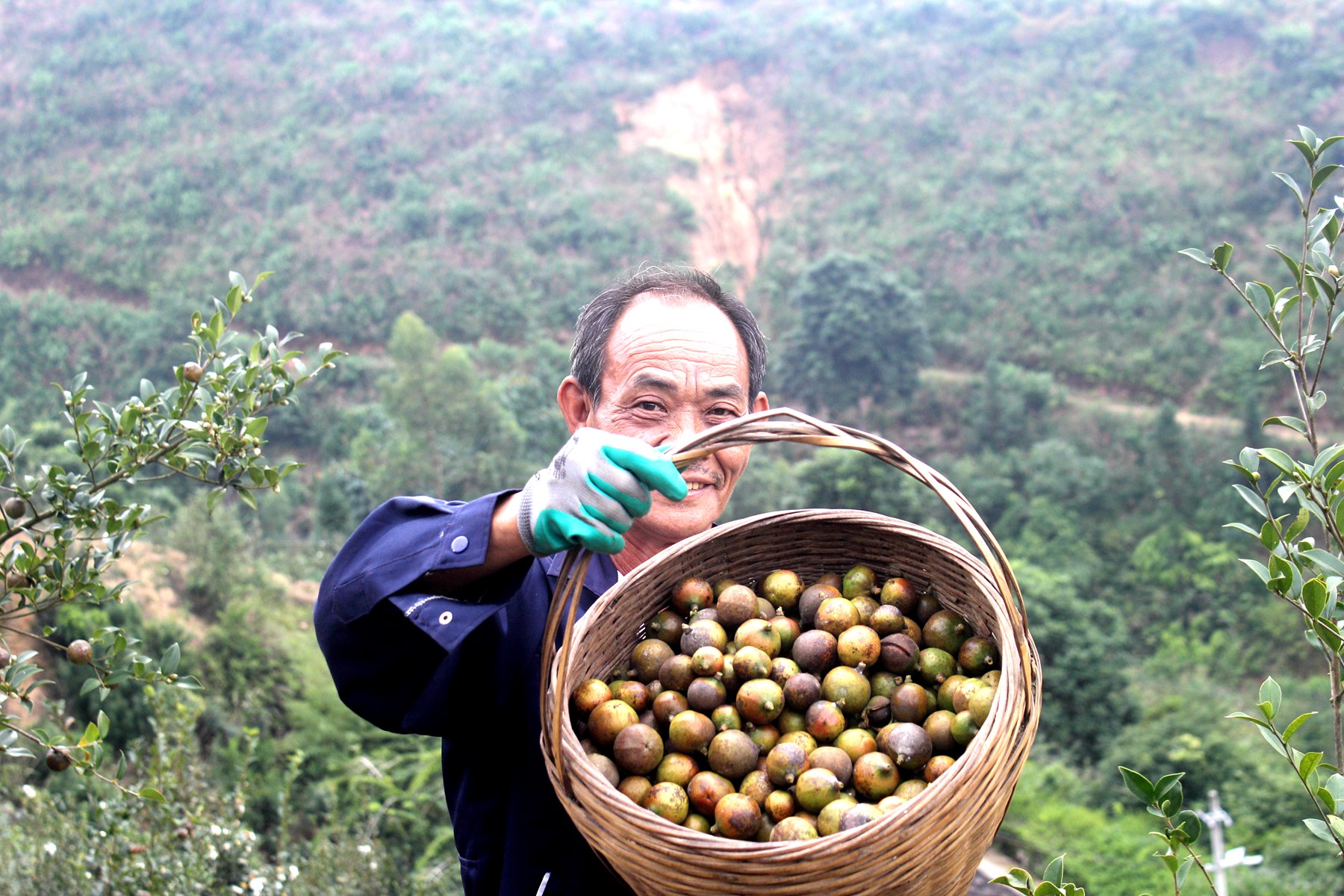 43330cce0e6940bfb8510f835d390e0.jpg 43330cce0e6940bfb8510f835d390e0.jpg