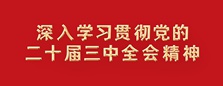 學(xué)習(xí)貫徹黨的二十屆三中全會精神
